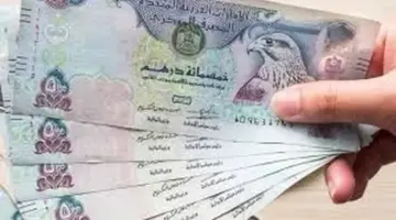 سعر الدرهم الإماراتي اليوم أمام الجنيه المصري الأربعاء 22 أبريل 2026